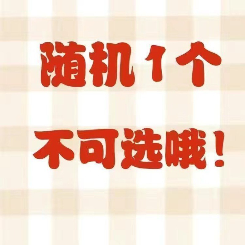 ランダムに私の世界のキーホルダーを送ります