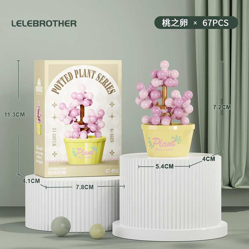 【多肉鉢植え～桃の卵】カラーボックス