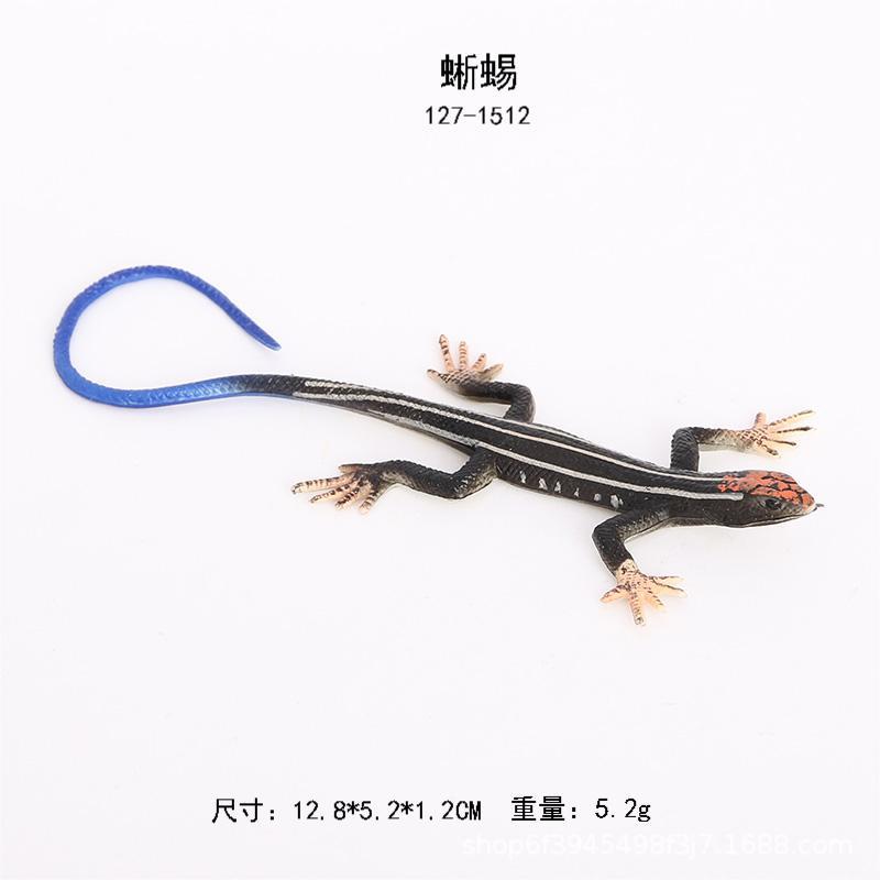 127-1512トカゲ