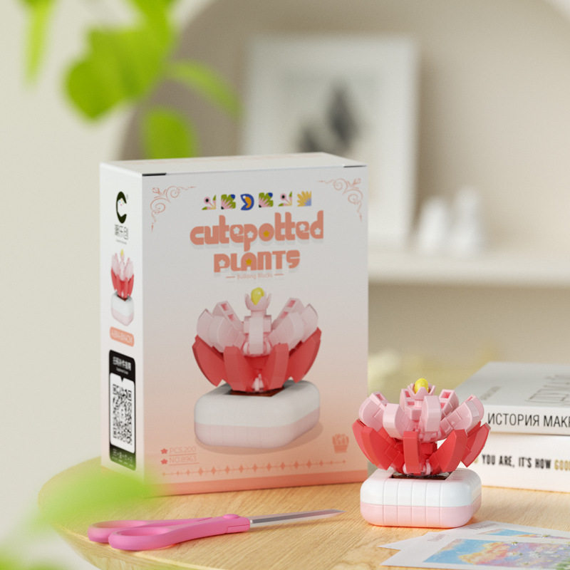 多肉植物-スノーエルフ 200個