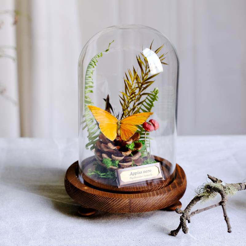 赤い翼千層、直径12cm、高さ19cm、完成品