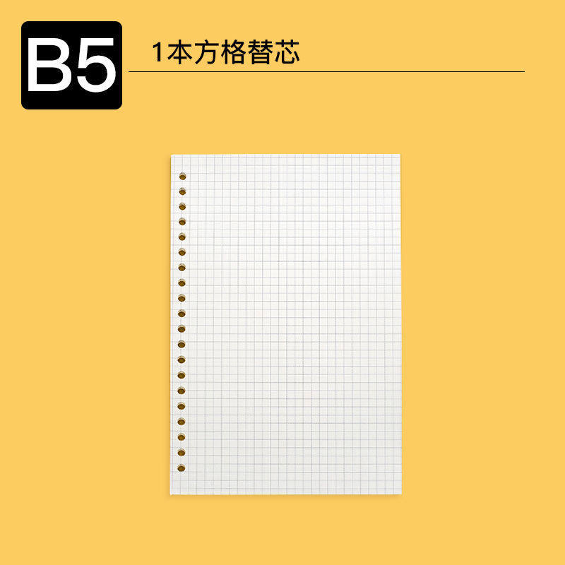 B 5メッシュ【替芯60枚】