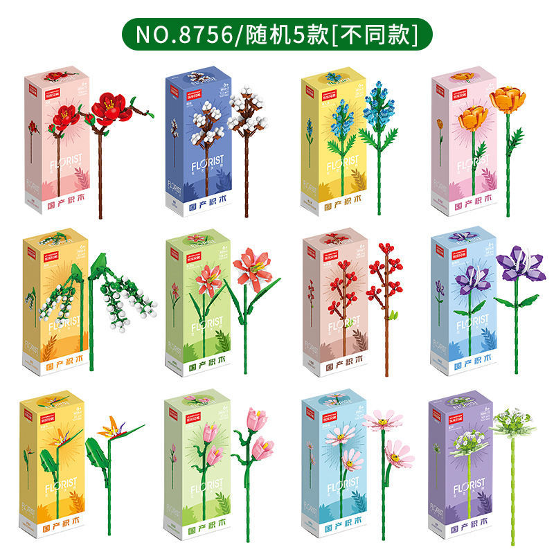 タイプ B ビルディング ブロックの花、ランダムな 5 ボックス、重複なし