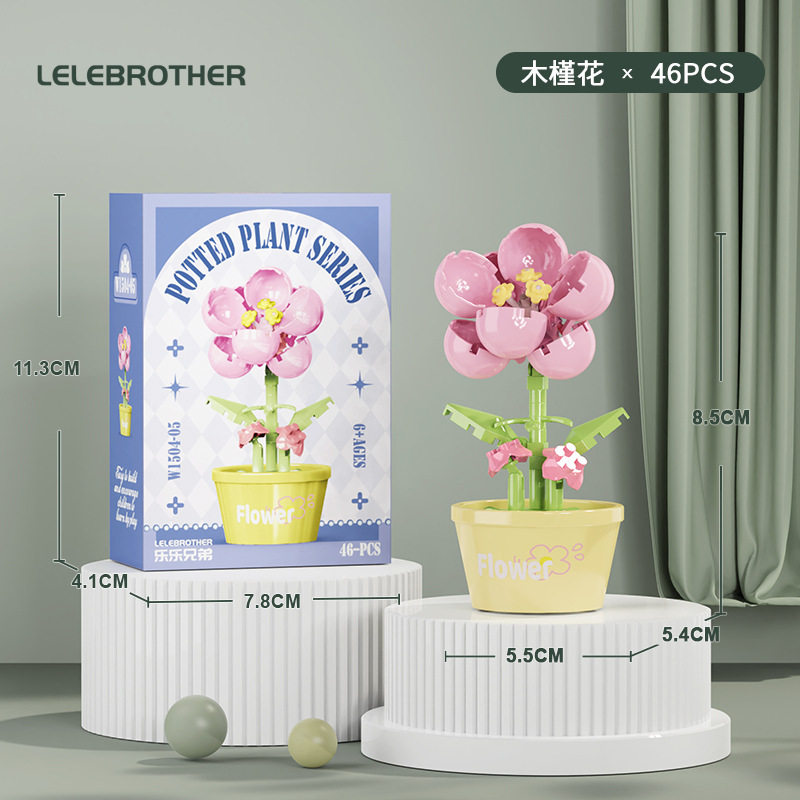 【花鉢植え・ハイビスカス】カラーボックス