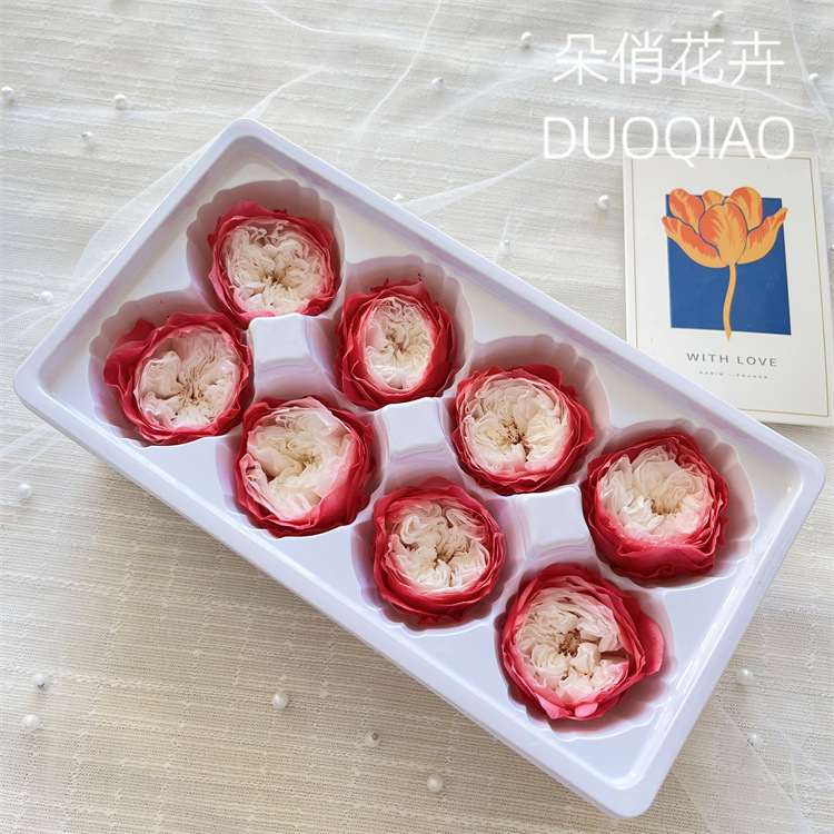 レッドエッジホワイトハートオースティン4-5CM