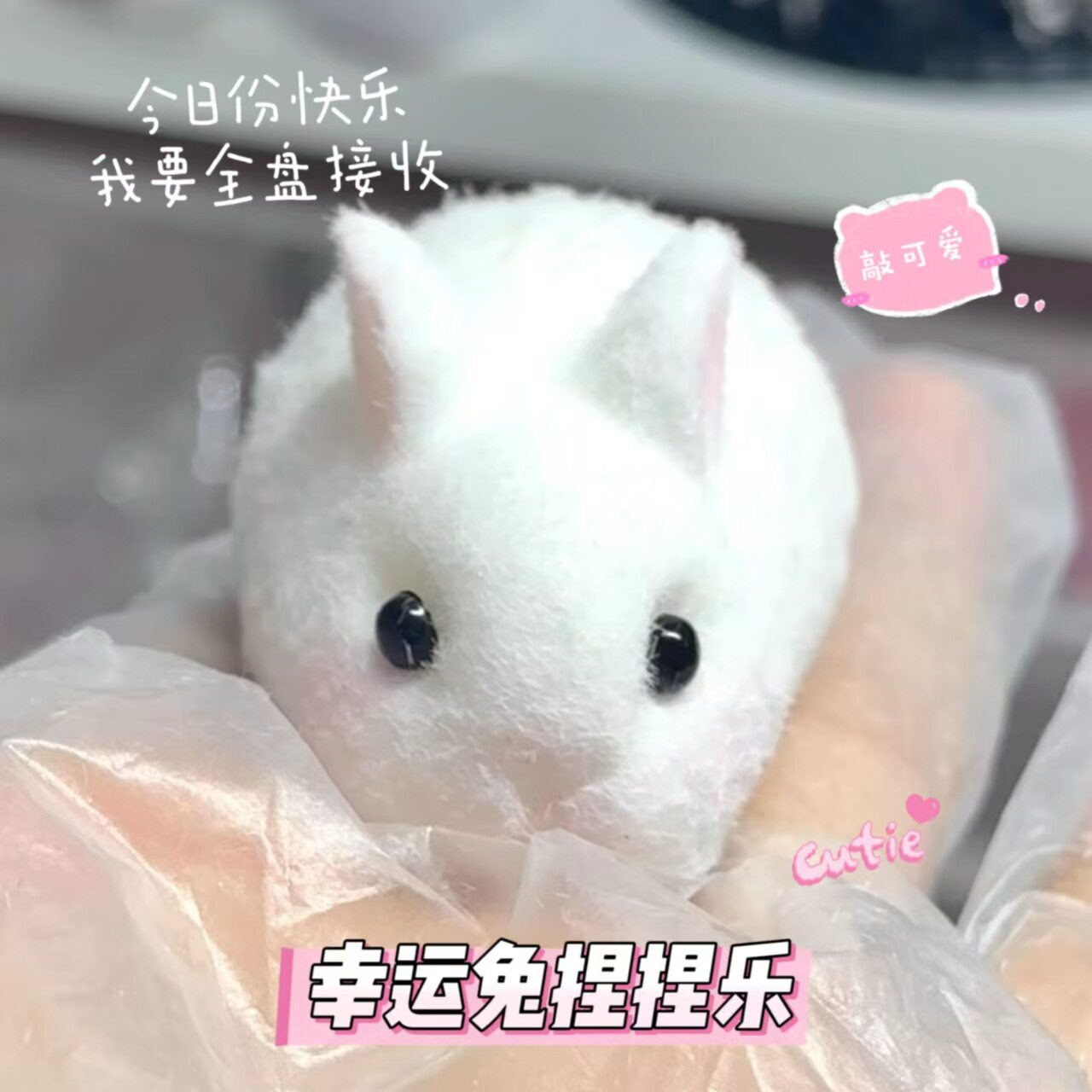 【新商品】ラッキーラビット ぷにぷに