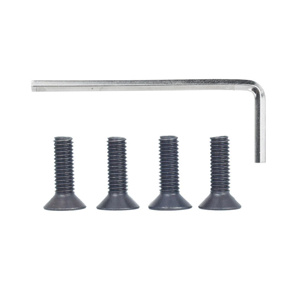 額ネジ [4本+工具]