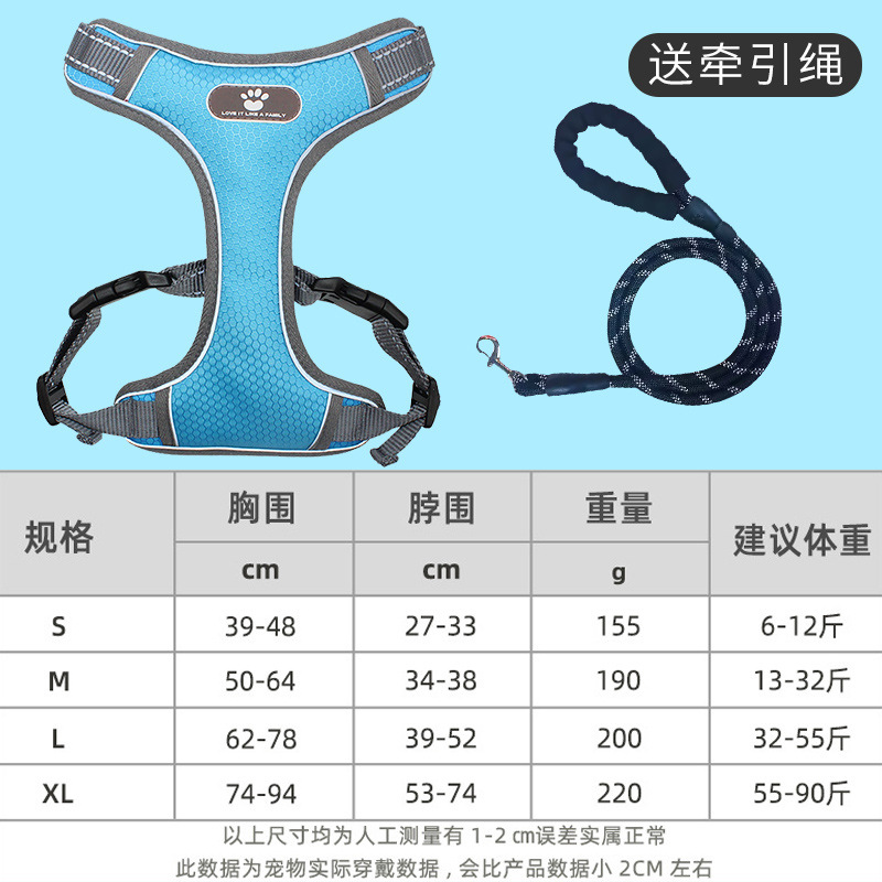 浅青胸ストラップ+はんしゃロープ