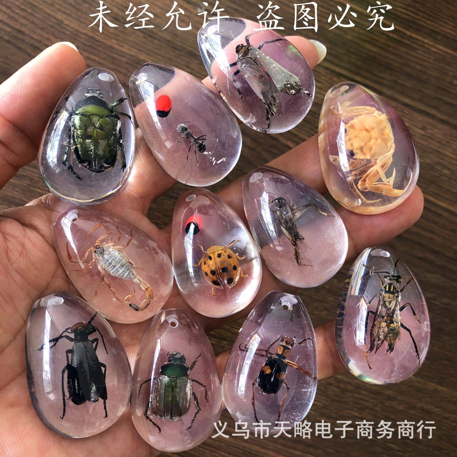 水滴型の透明な白い背景（8〜10種類の虫の組み合わせ）