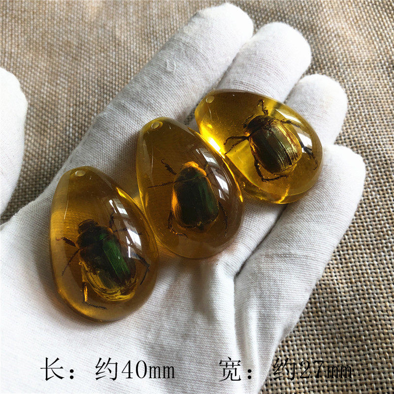 緑のカブトムシ