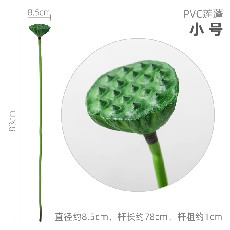 トランペットpvc蓮蓬