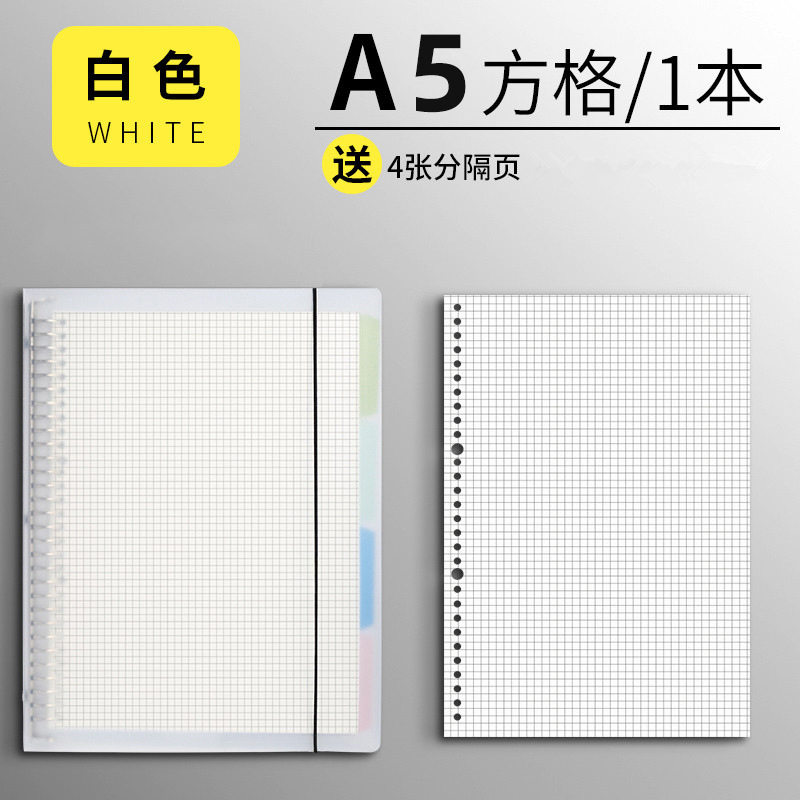 A5-ホワイトケース【メッシュ芯1 + 仕切ページ】