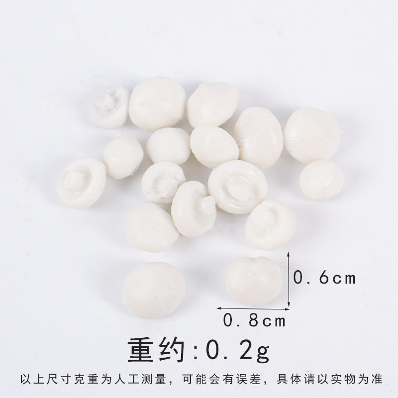 0.8cmの白いキノコの頭 1個