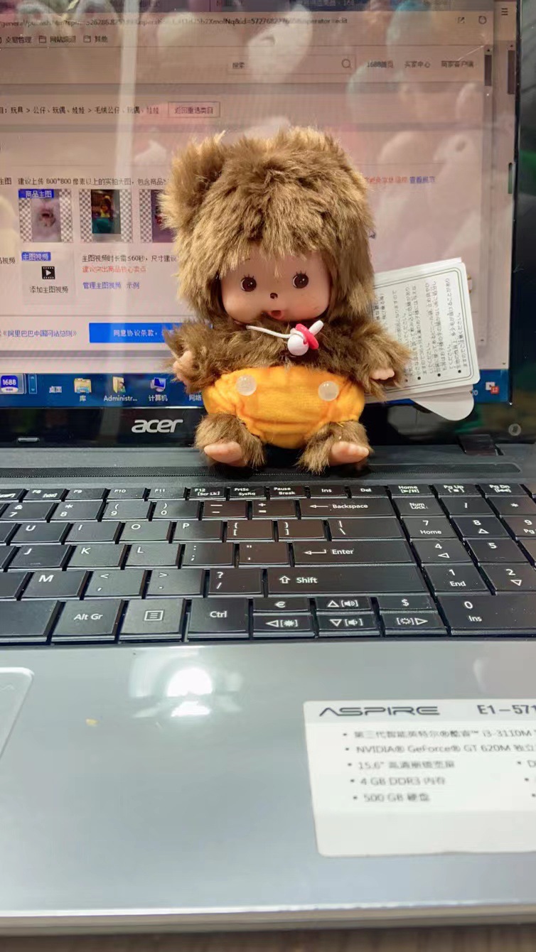アライグマ