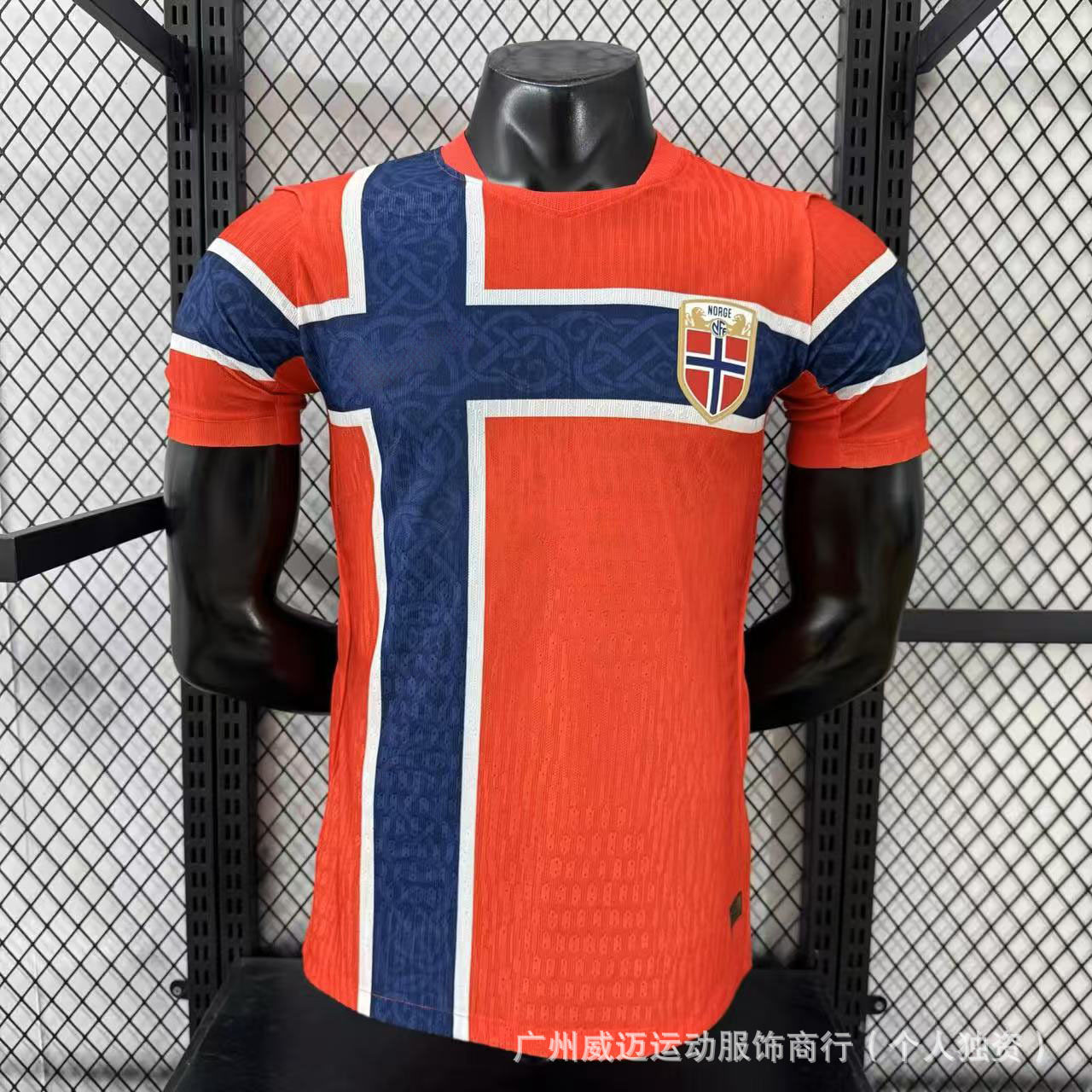 26-27 ノルウェーのホームコート