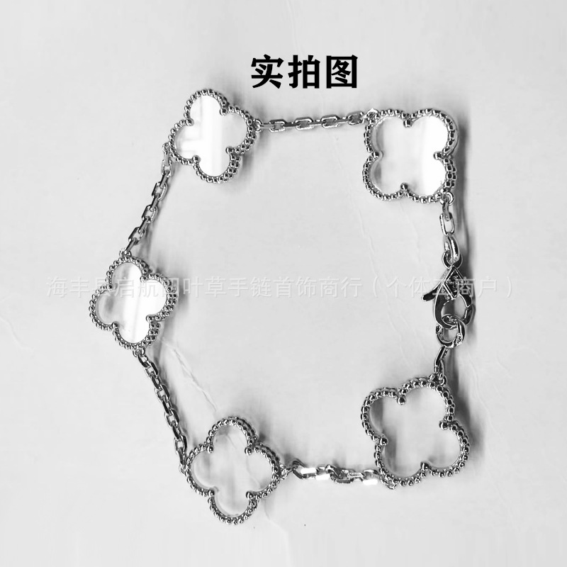 26.シルバー透明モデル