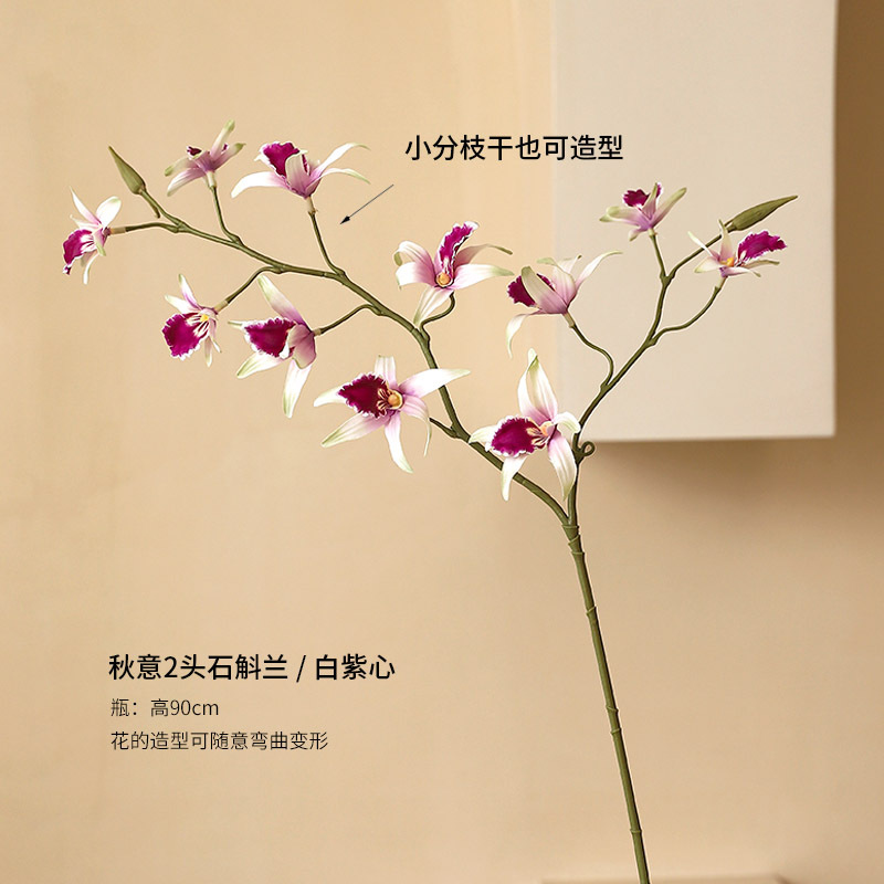 秋意2頭の石蘭 (白紫心)
