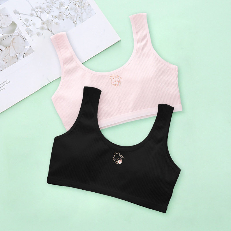 ピンク+ブラック(2パック)