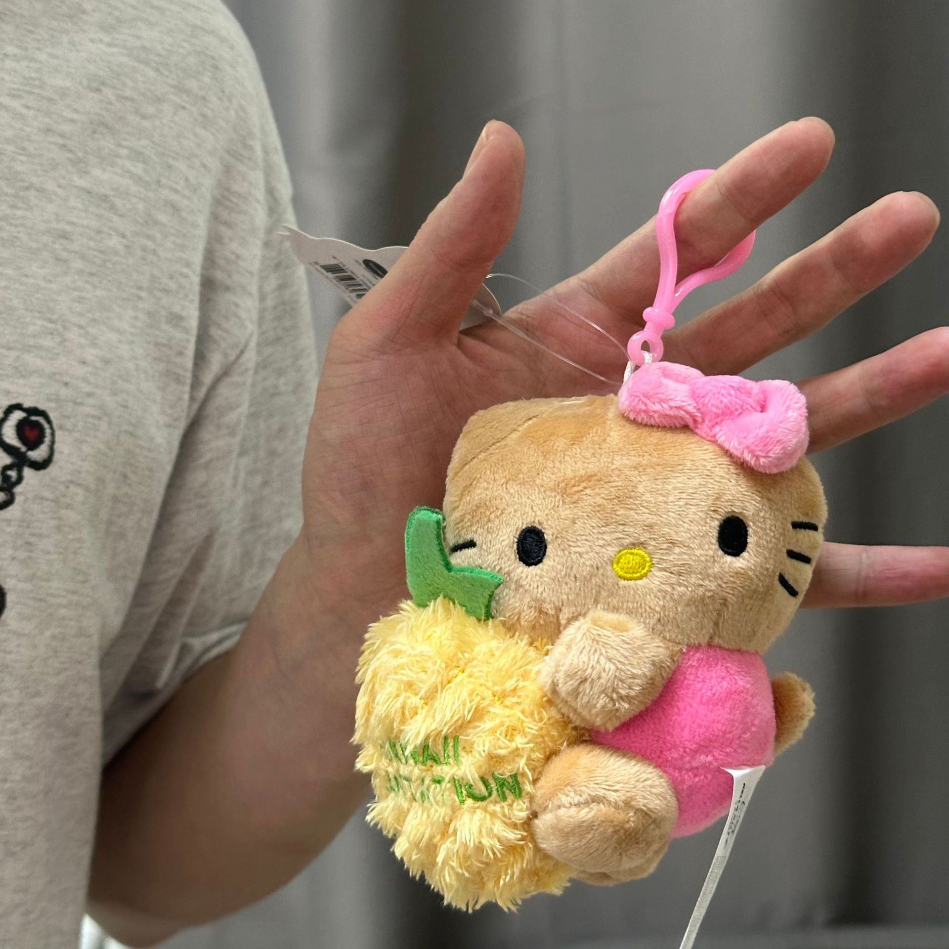 パイナップルをひとつだけ持つ【ハワイアンkt】