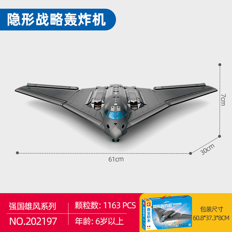 森宝202197-ステルス爆撃機