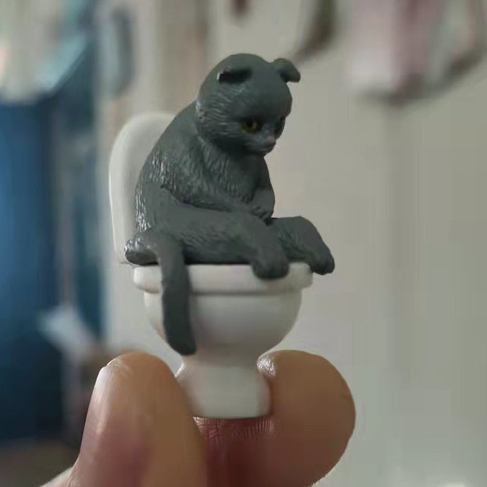 濃い灰色はお腹を覆って座っています。トイレのようです。