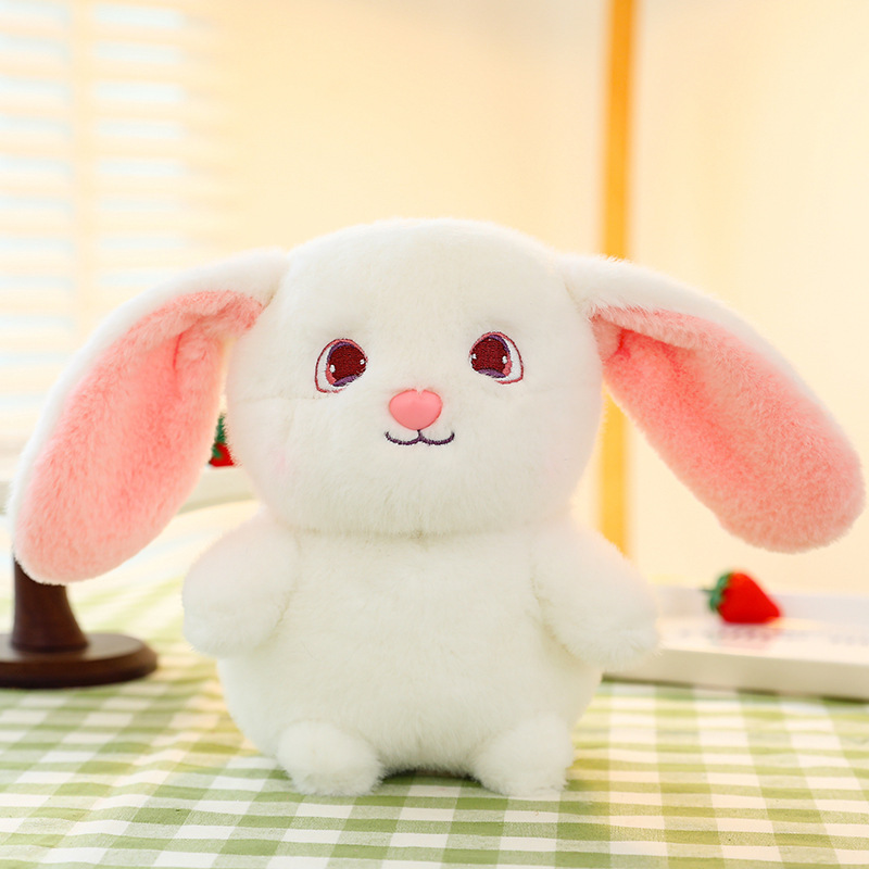 小さなウサギ