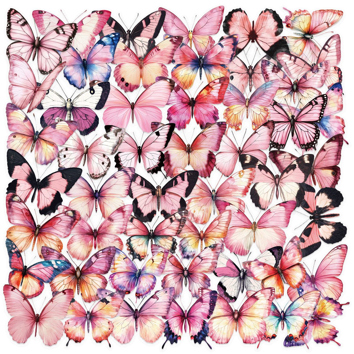 ピンクバタフライ SLP091 50枚