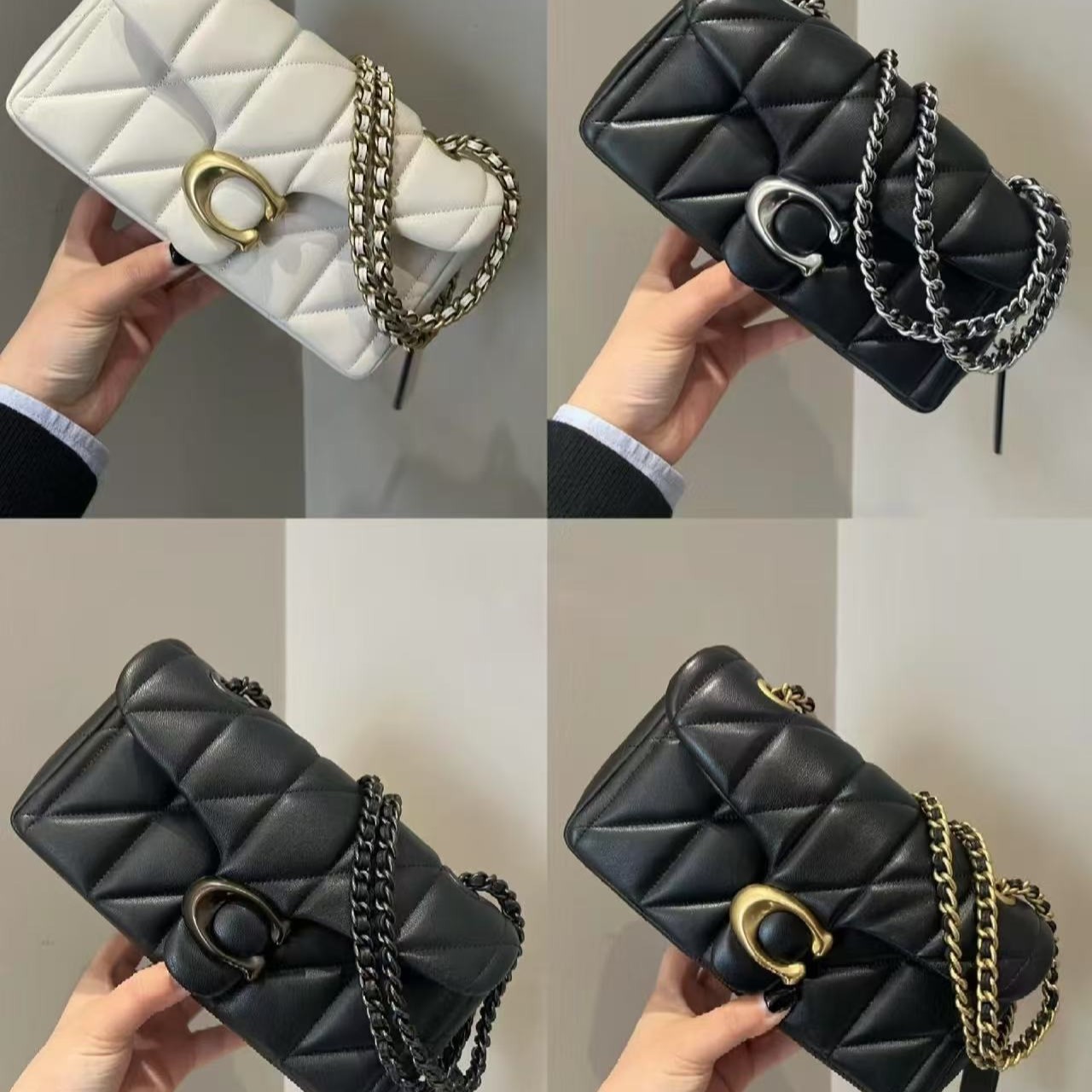 ブラックシルバー26