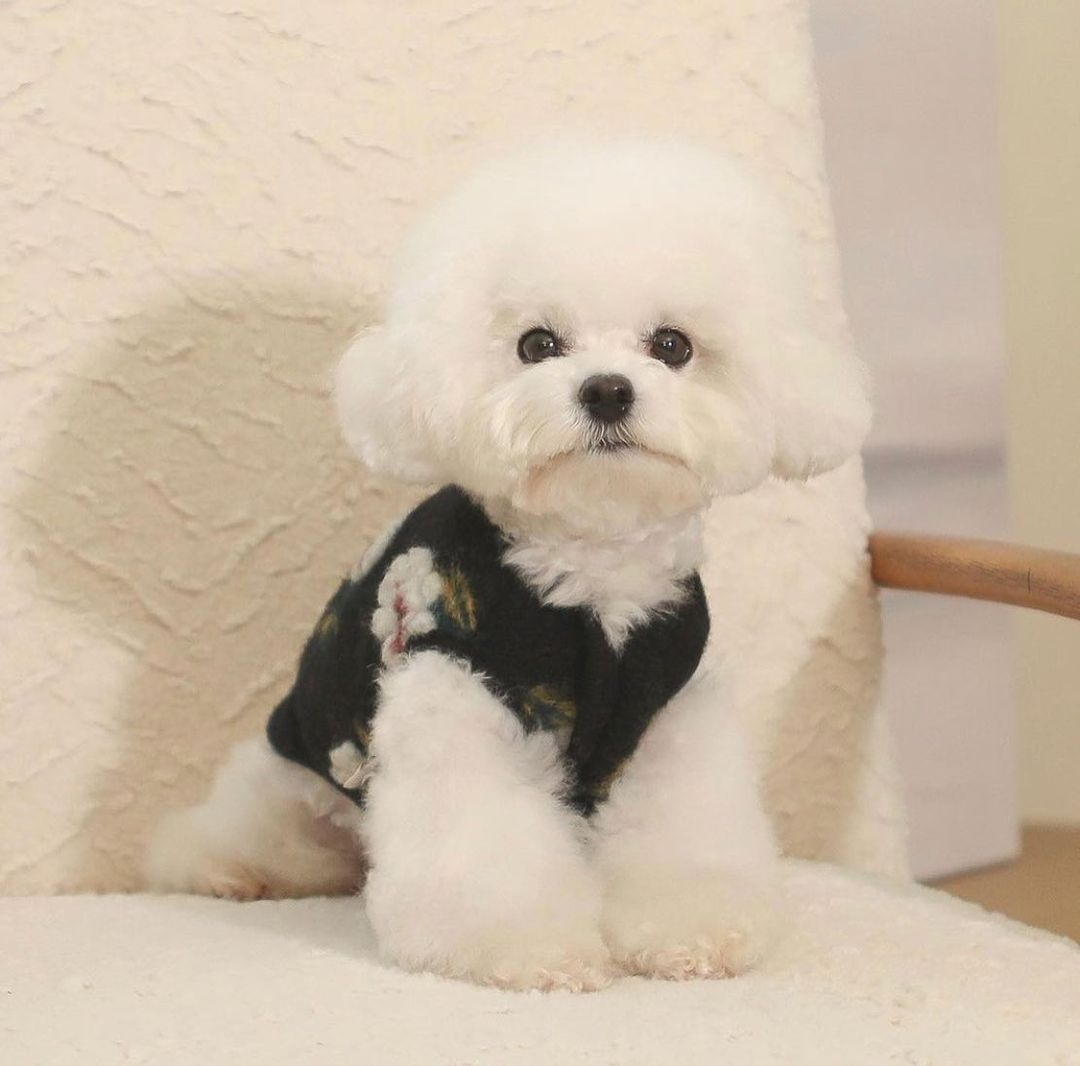 黒-ノースリーブ花