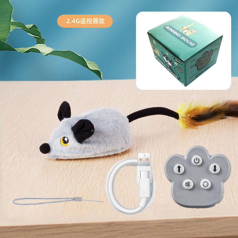 2.4Gリモコン版リス（英語カラーボックス）