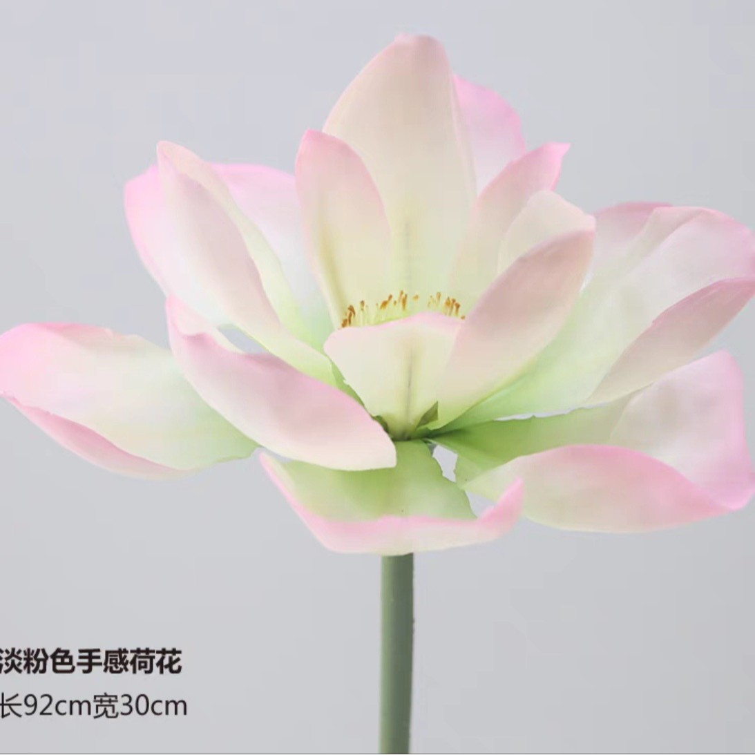 熱売浅粉2 #