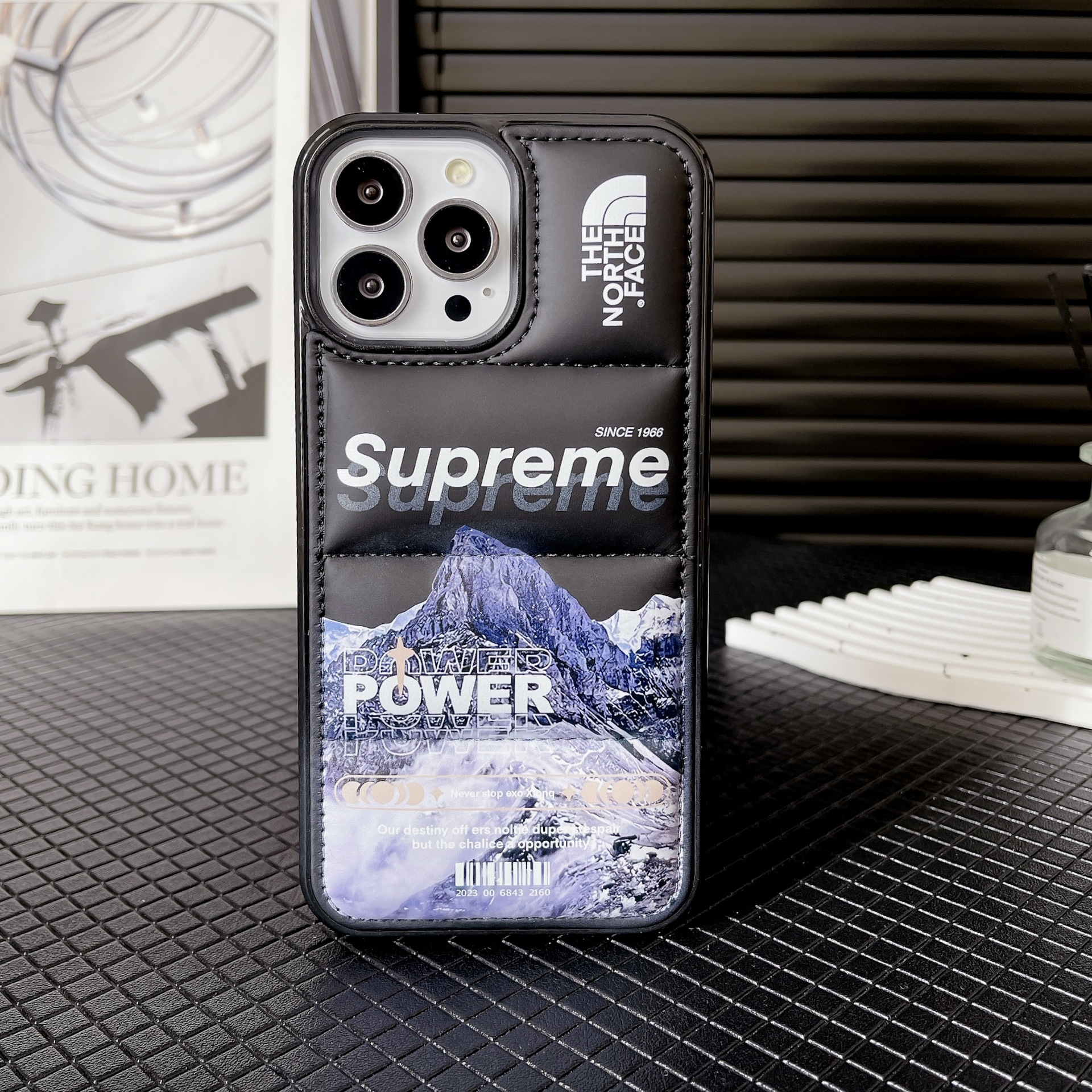 SJ大穴充綿ダウンジャケット-SUP裏面雪山