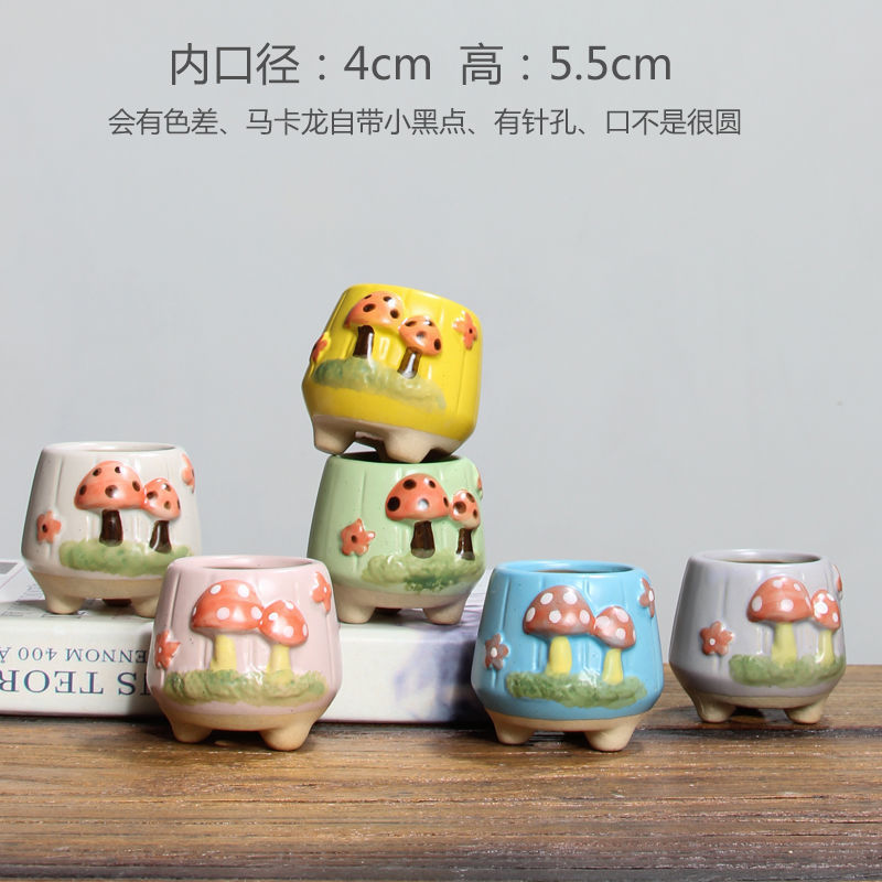 丸口椎茸 ランダム3個✦