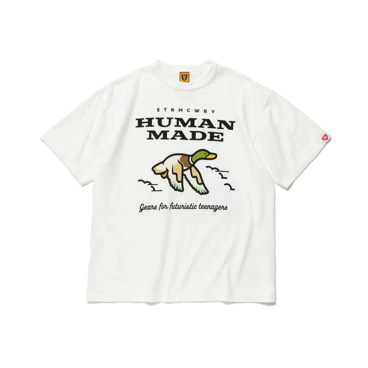 3855 ホワイト