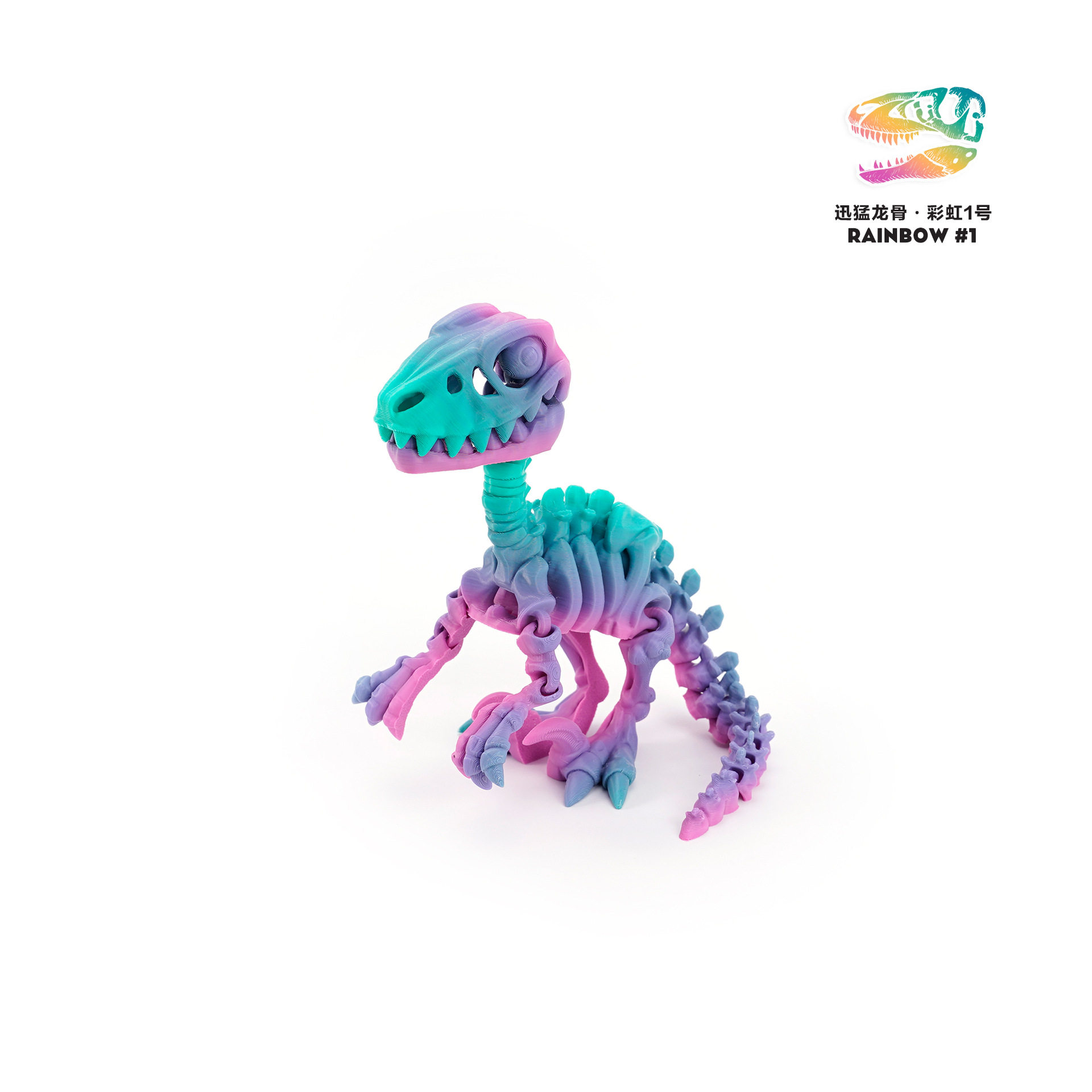 MINI ヴェロキラプトル キール (レインボー 1)