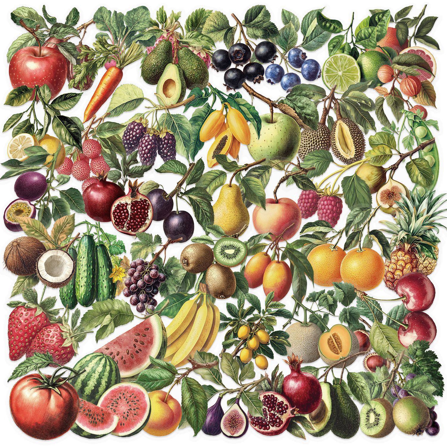 レトロフルーツ 50枚 SLP075