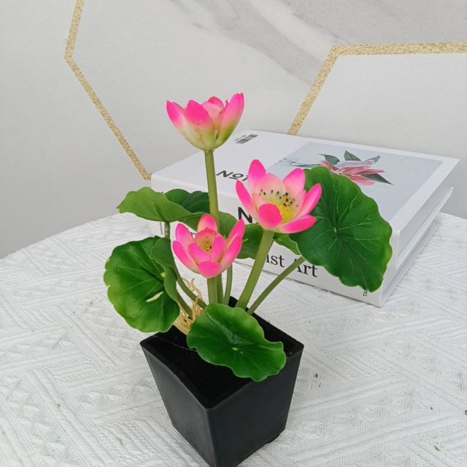 8074(3花6葉ミニハスの花2 #72枝から