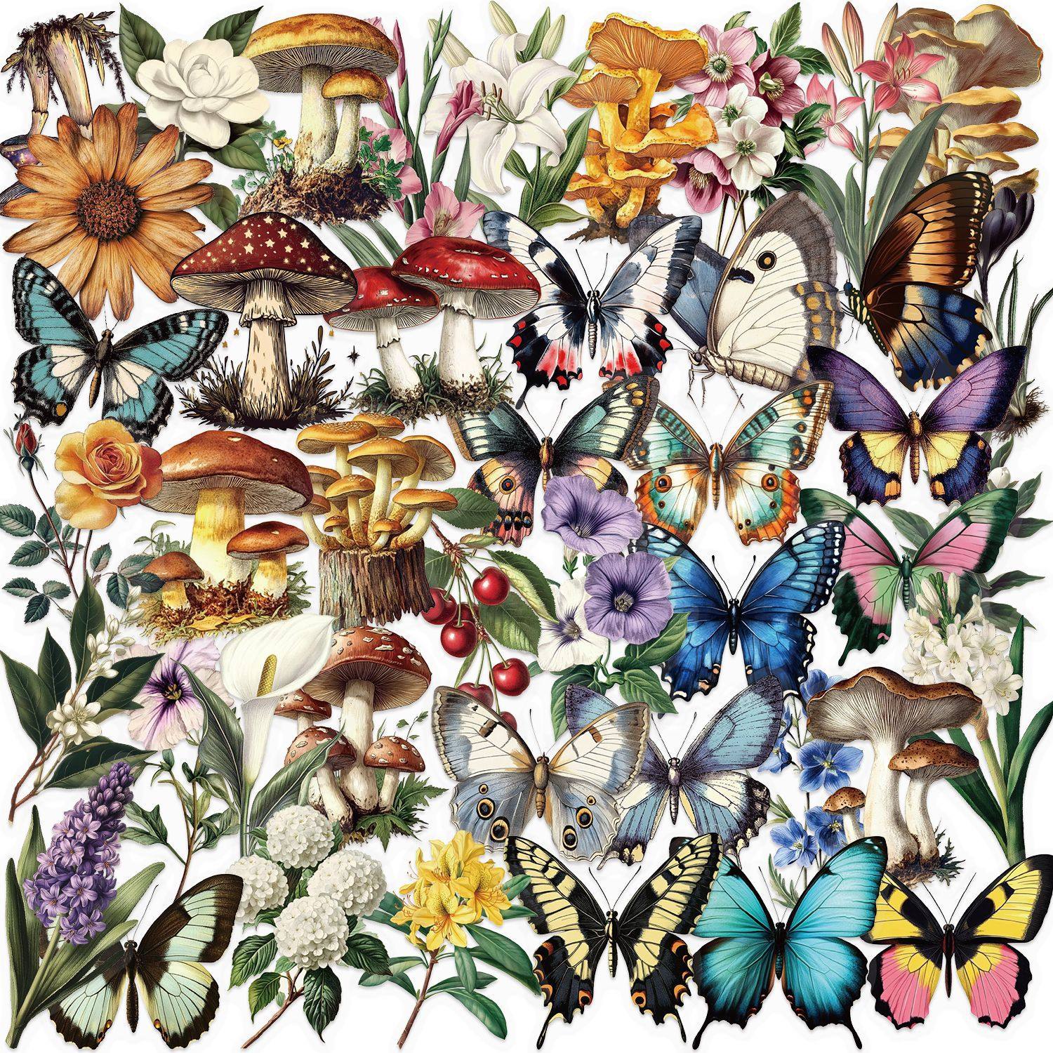 レトロキノコ植物蝶 SLP147 50枚