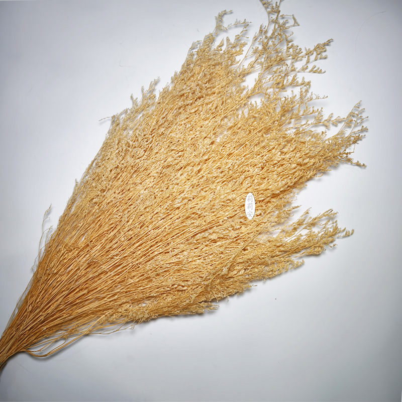 シャンパンカラー（80g/束）