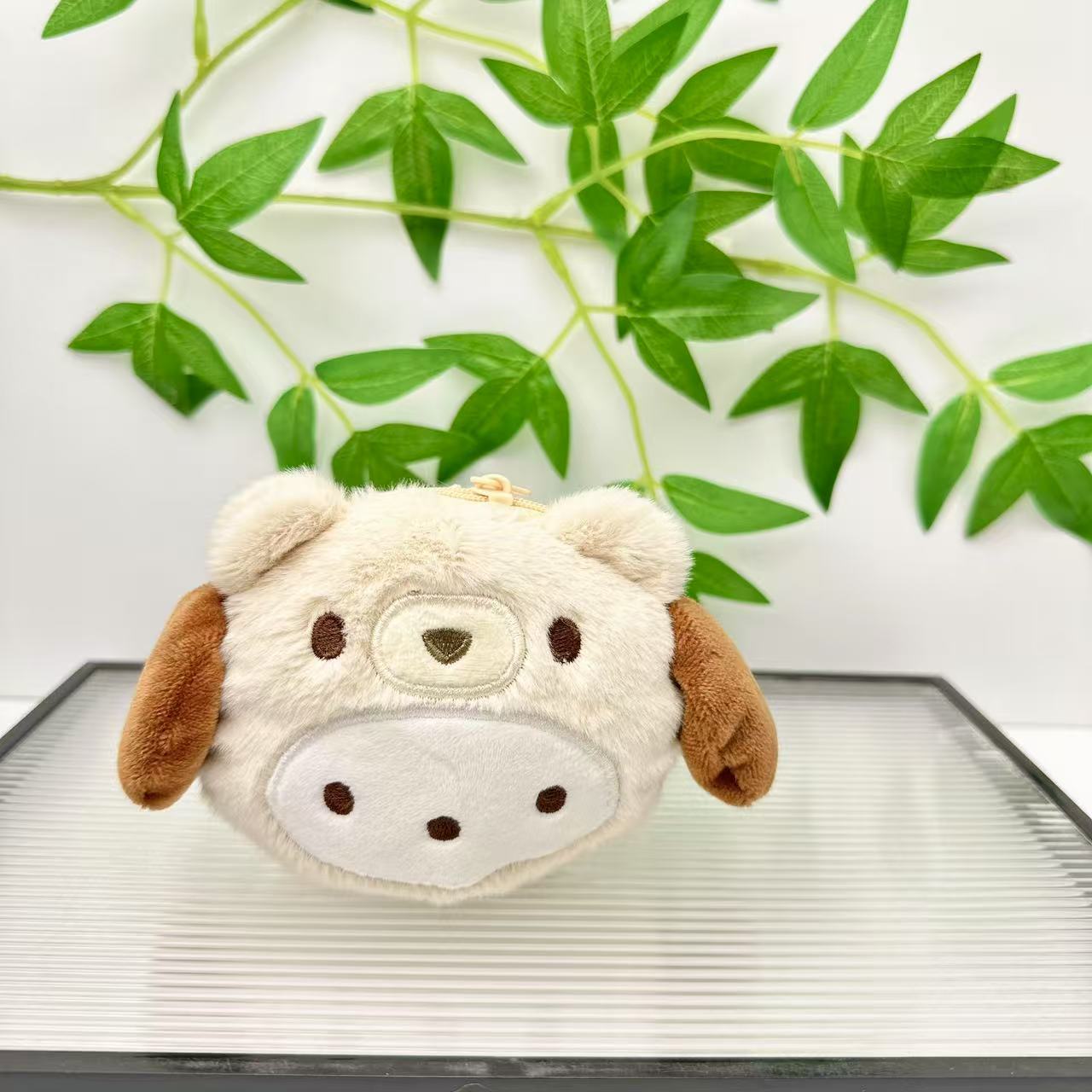 パチャ犬