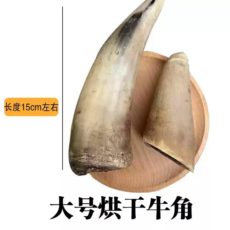 ラージホーン*1