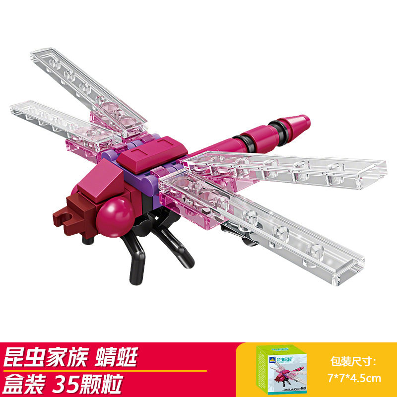 トンボ (開智2022)