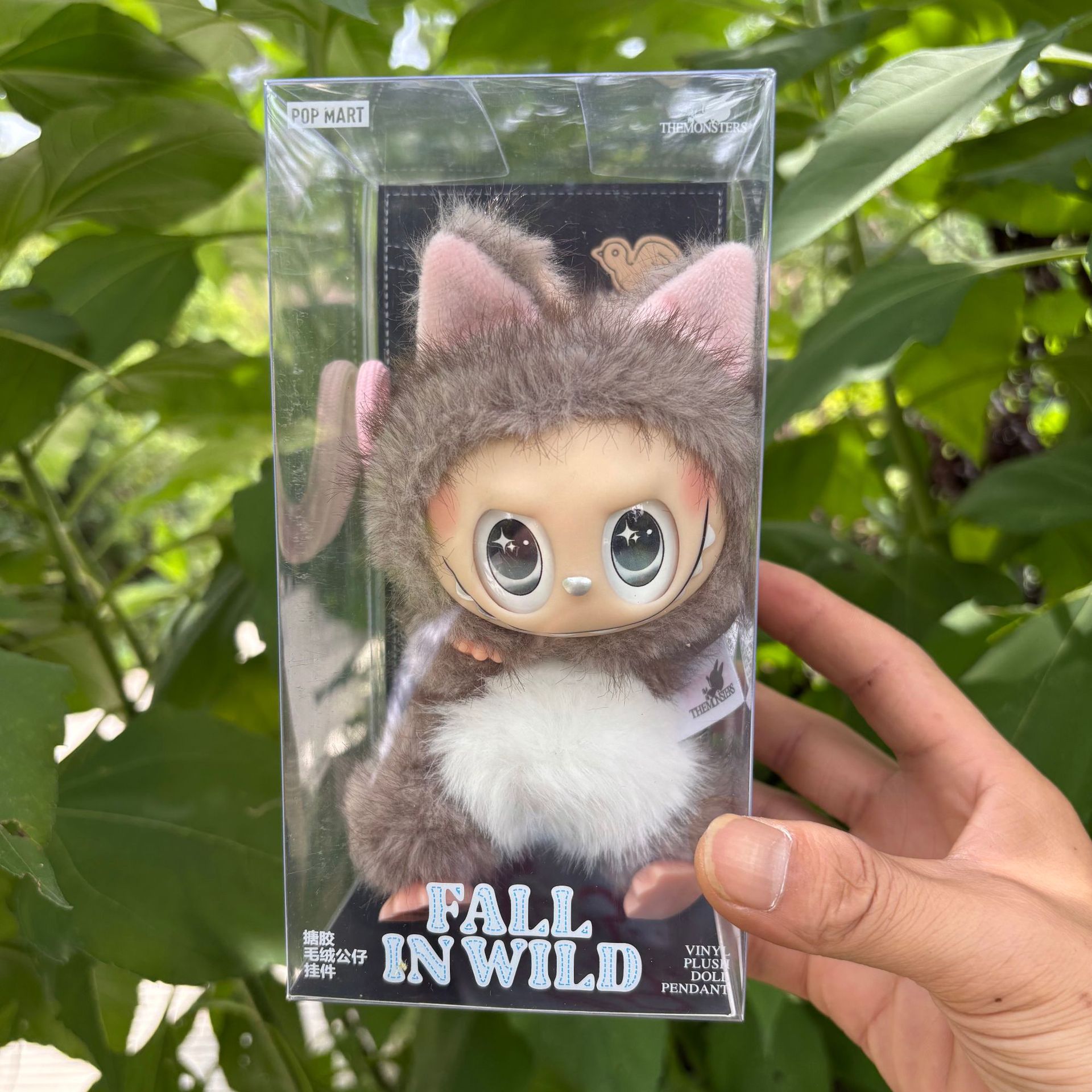 灰色の小さなキツネ