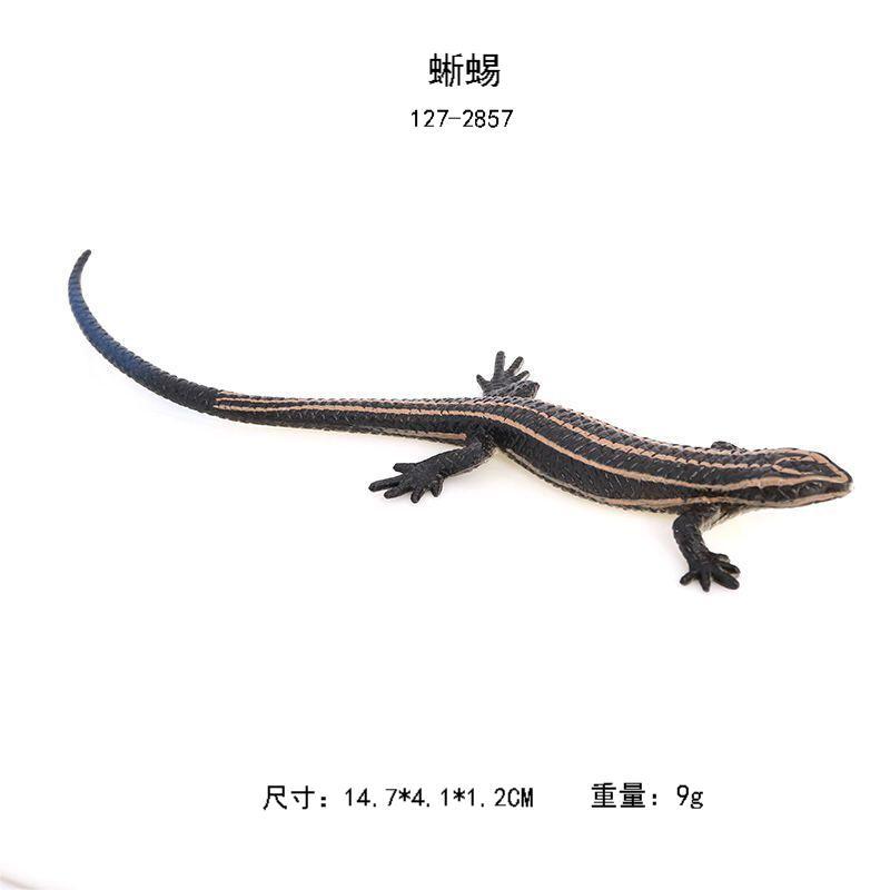 127-2857トカゲ