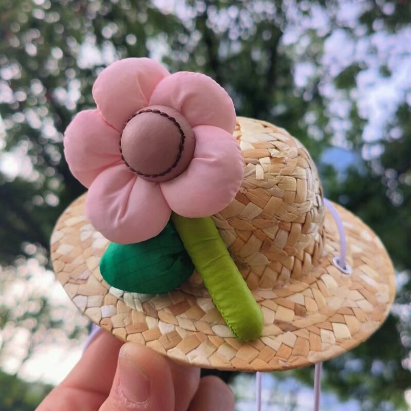 小さなひまわりの花