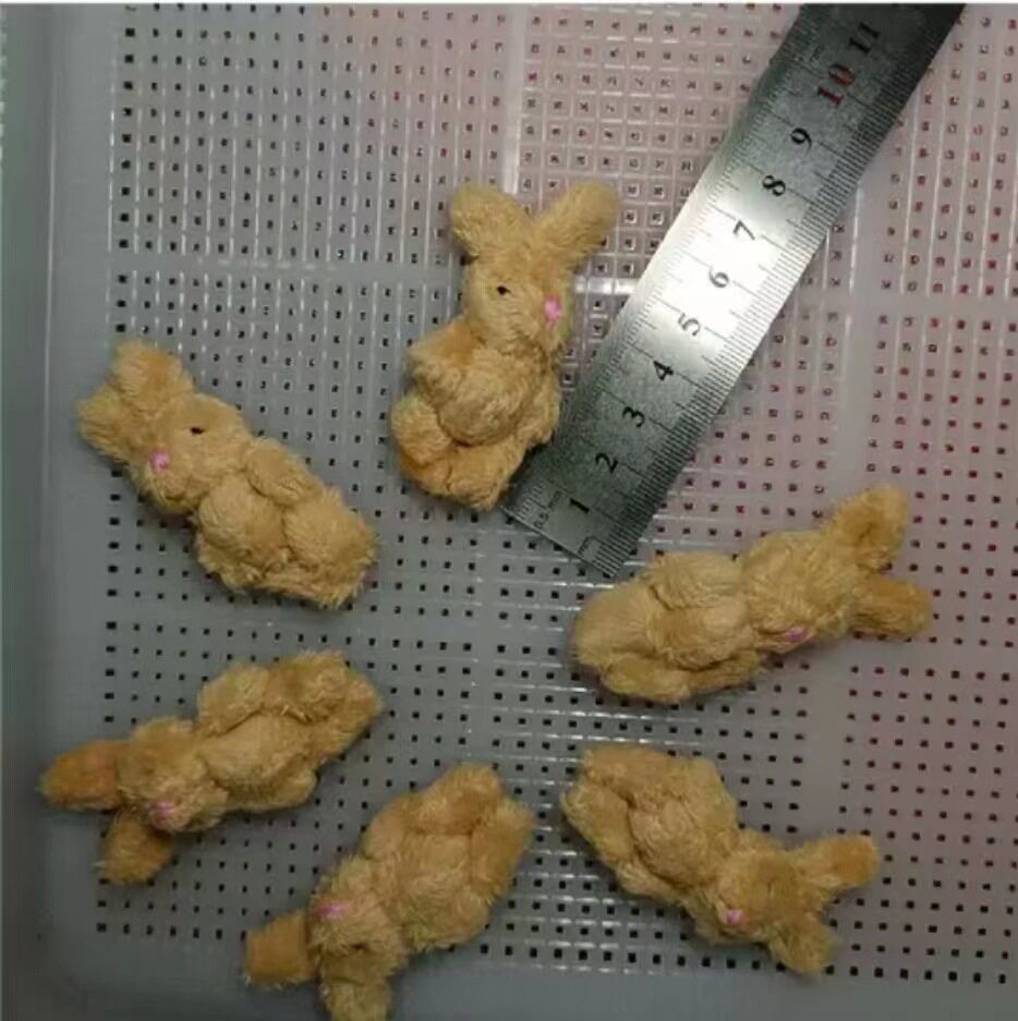 6cm杏色のウサギ