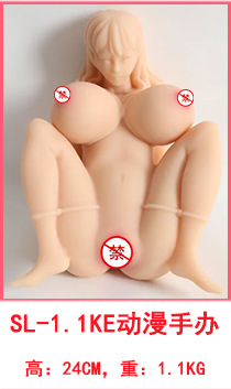 高さ: 24cm、重さ: 1.1kg、SL-1.1keアニメフィギュア (tpe)
