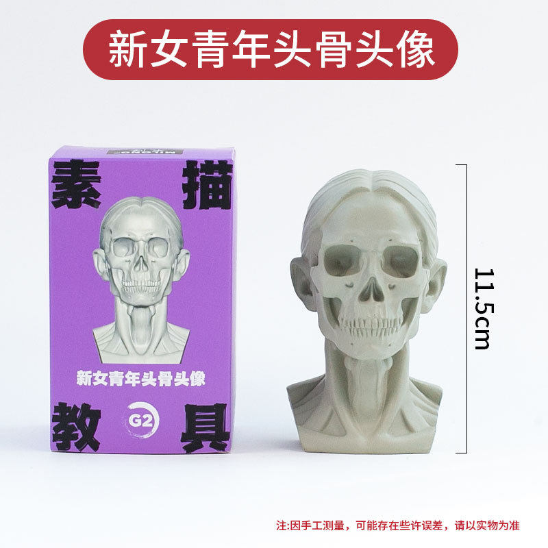 G2 新しい若い女性の頭蓋骨アバター