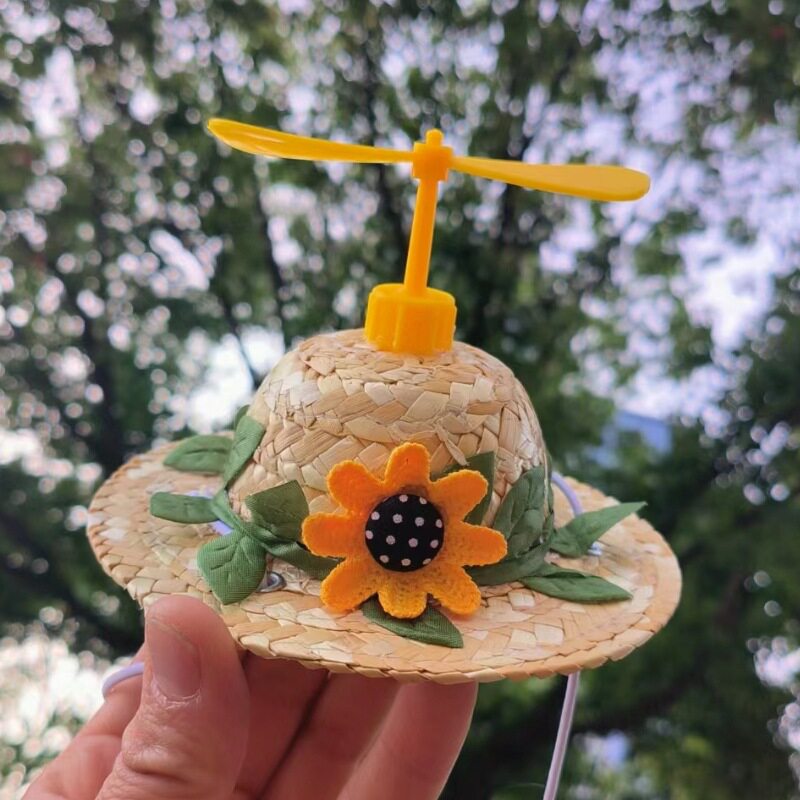 太陽の花 --- 竹トンボの金