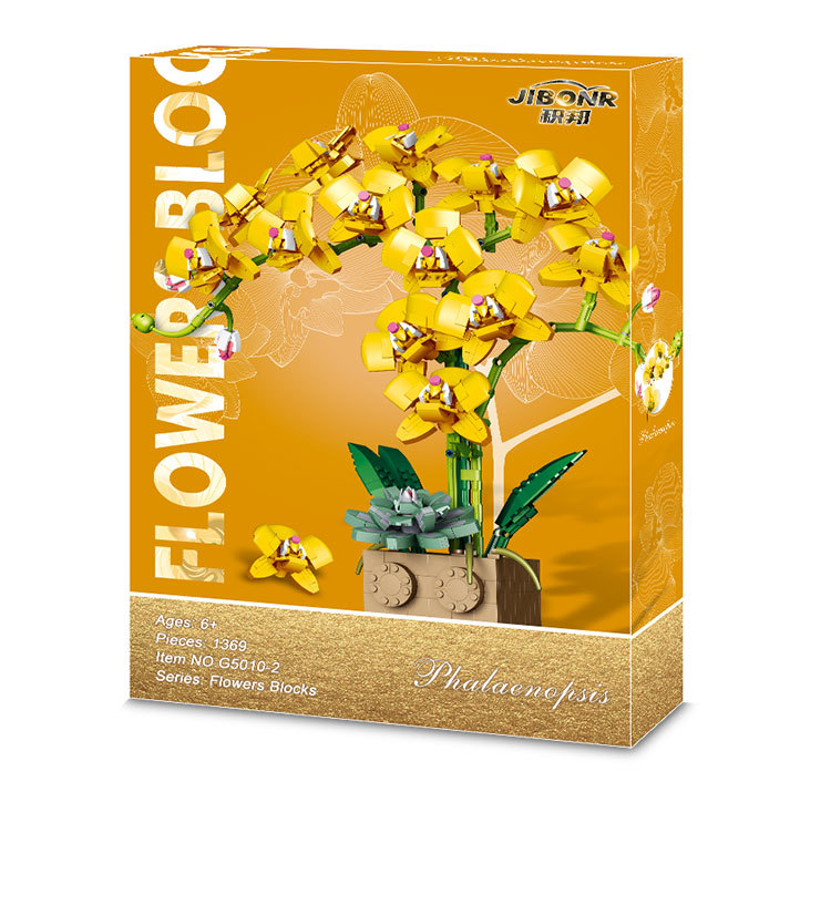 G5010-2黄色のラン